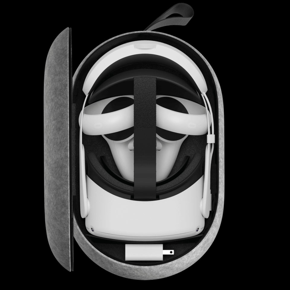 carrying case small.png