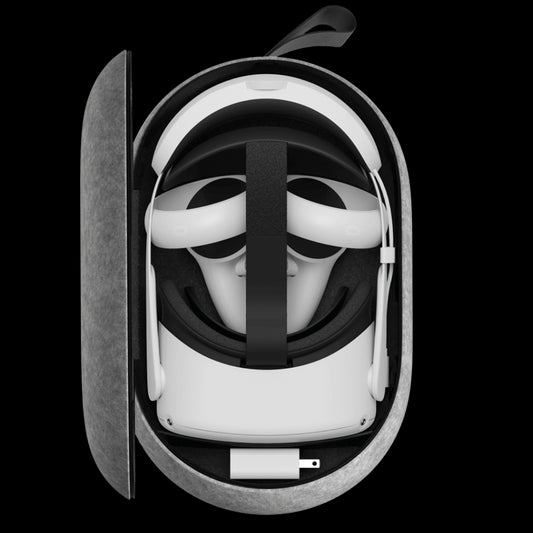 carrying case small.png